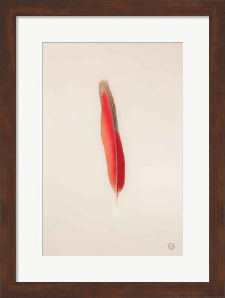 Framed Floating Feathers II Print