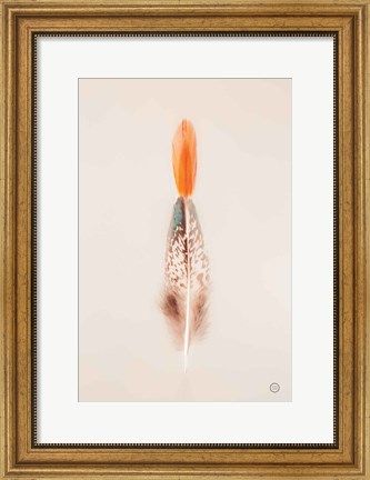 Framed Floating Feathers I Print