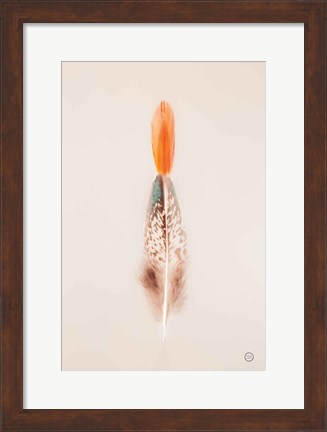 Framed Floating Feathers I Print