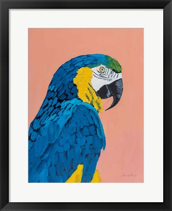 Framed Blue and Gold Macaw Print