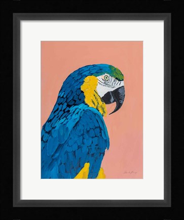Framed Blue and Gold Macaw Print