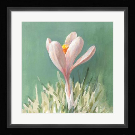 Framed Soft Crocus Print