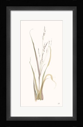 Framed Moor Grass Print