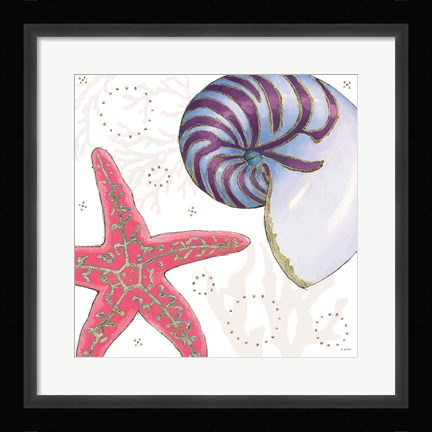 Framed Shimmering Shells II Print