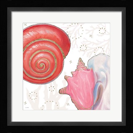 Framed Shimmering Shells IV Print