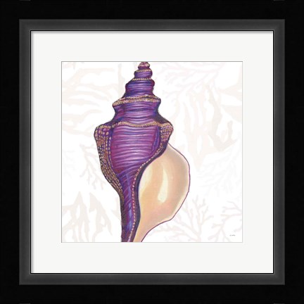 Framed Shimmering Shells IX Print