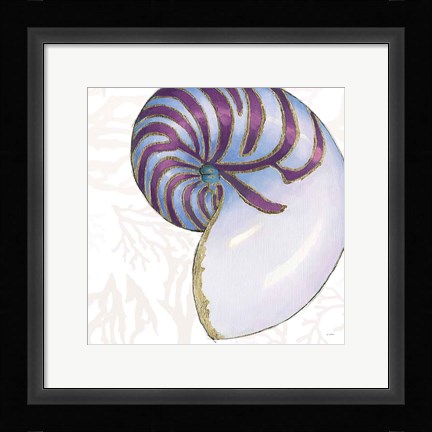 Framed Shimmering Shells VI Print