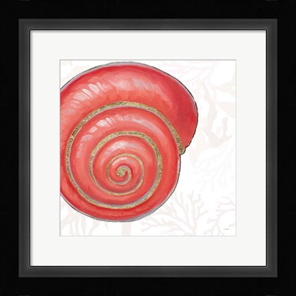 Framed Shimmering Shells VII Print