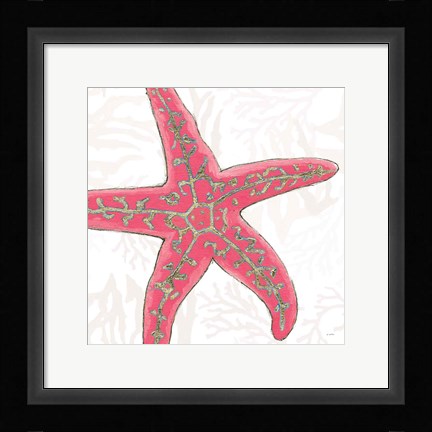 Framed Shimmering Shells VIII Print