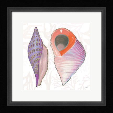 Framed Shimmering Shells X Print