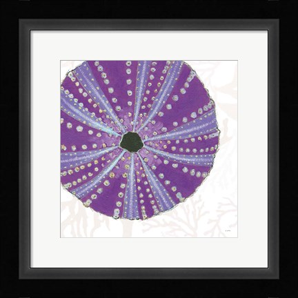 Framed Shimmering Shells XIV Print