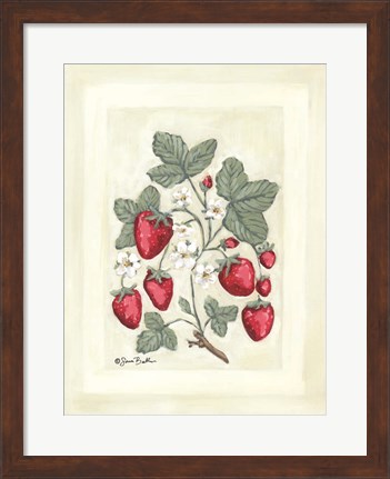 Framed Sweet Summer Strawberries I Print