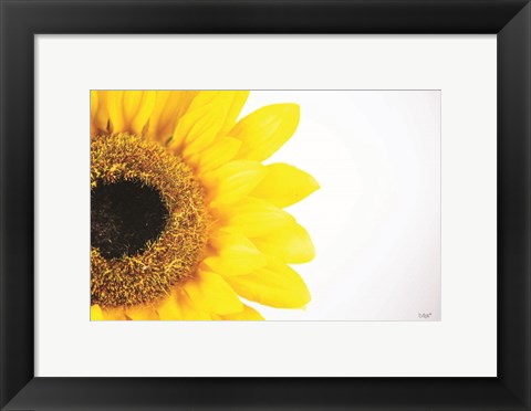 Framed Sunflower Close-up Print