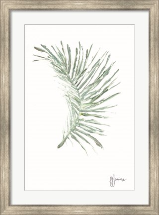 Framed Palm Frond Viridescent Print