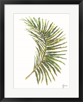 Framed Palm Frond Vibrant Print