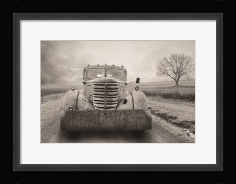 Framed Rustic Charm VI Print