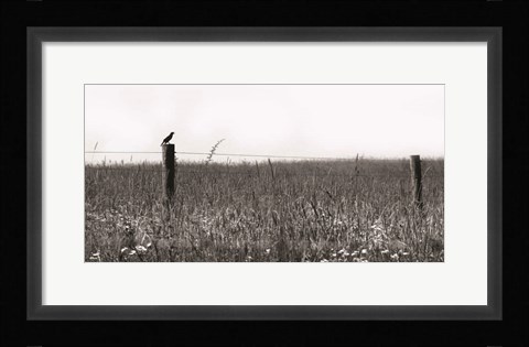 Framed Country Field Print