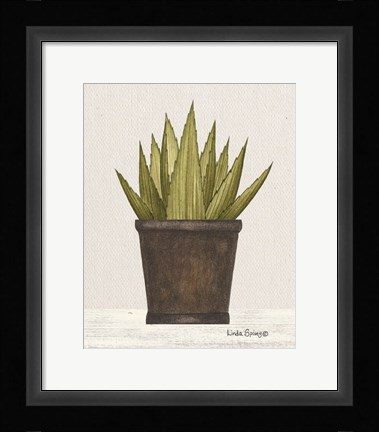 Framed Potted Aloe Vera Print