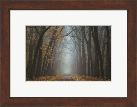 Framed Moody Autumn Print
