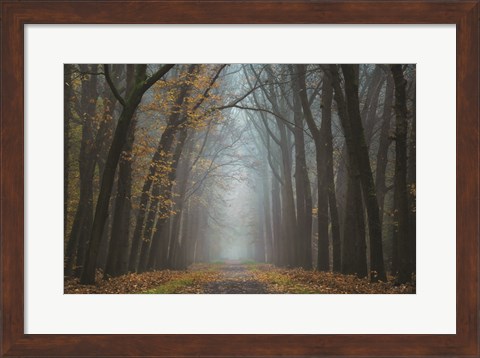 Framed Moody Autumn Print