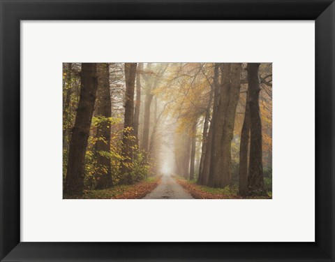 Framed Autumnal Moodiness Print