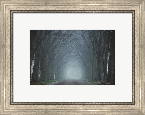 Framed Old Beeches Print