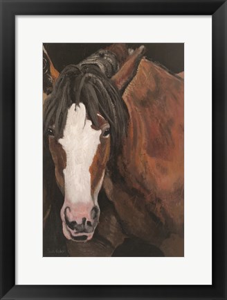 Framed Horse Portrait I Print