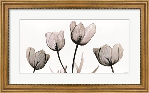 Framed Floral Simplicity Print