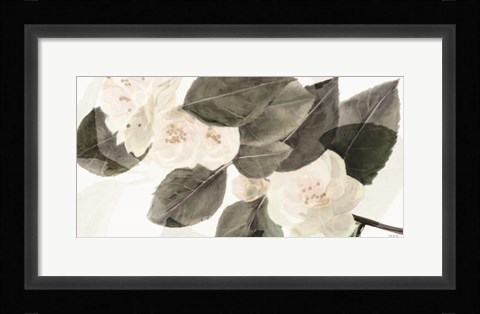 Framed White Beauty Print