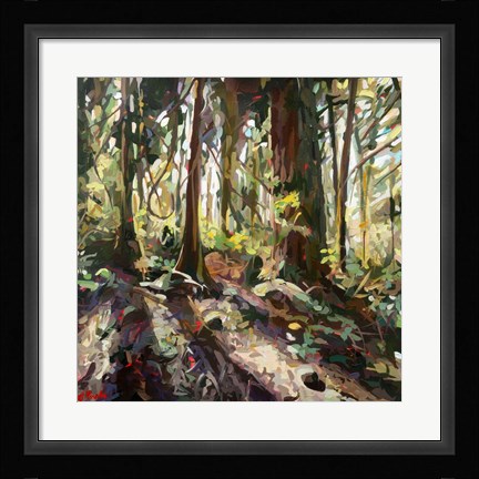 Framed Cedar Shadows Print