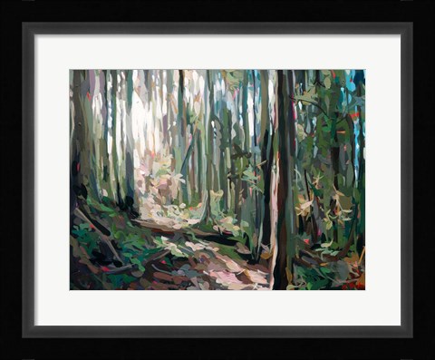 Framed Forest Light Print