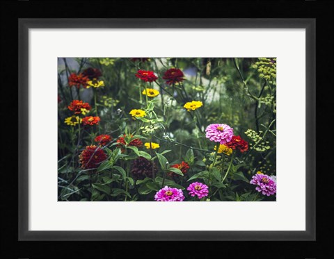 Framed Secret Gardens Print