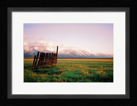 Framed Fence In Jackson Print