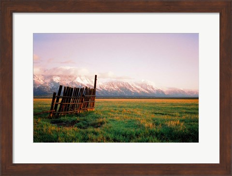 Framed Fence In Jackson Print