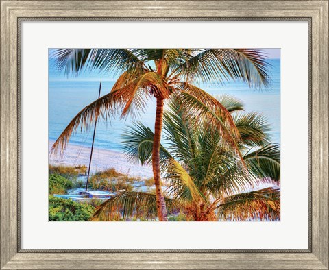 Framed Colors of Florida Print