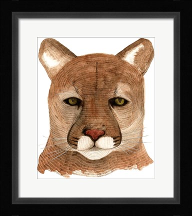 Framed Cougar Print