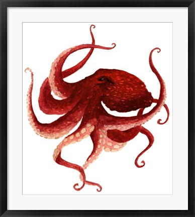 Framed Giant Pacific Octopus - Red Print