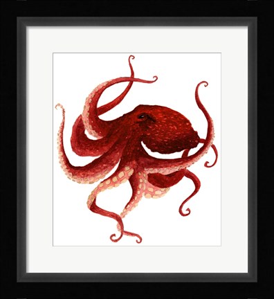Framed Giant Pacific Octopus - Red Print