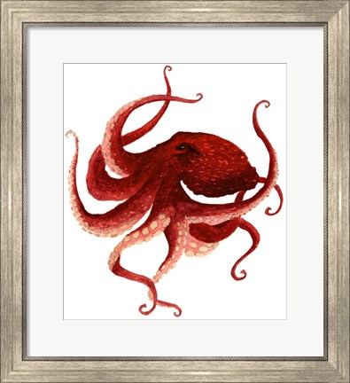 Framed Giant Pacific Octopus - Red Print