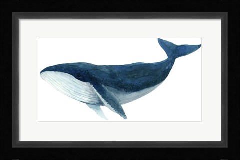 Framed Humpback Whale - Blue Print