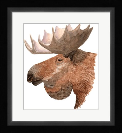 Framed Moose Print