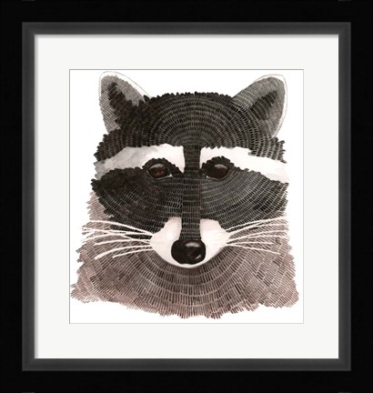 Framed Raccoon Print