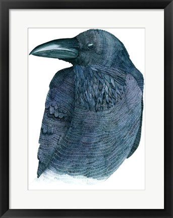 Framed Raven Print