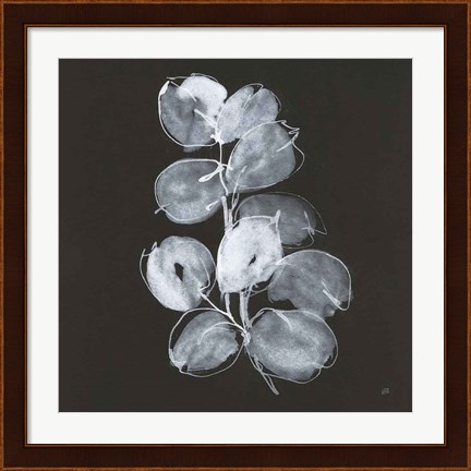 Framed White Eucalyptus I Print