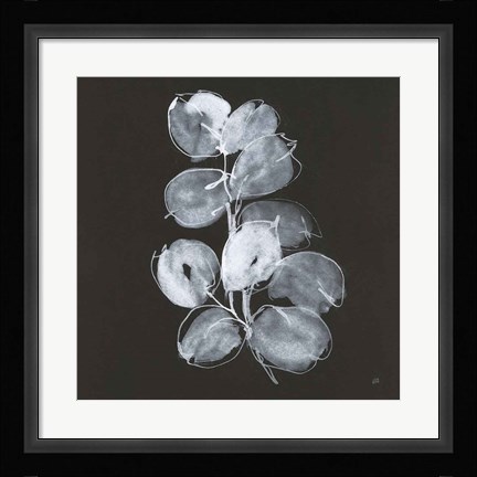 Framed White Eucalyptus I Print