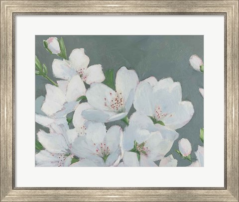 Framed Spring Apple Blossoms Print