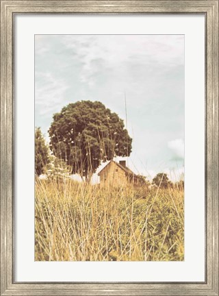 Framed Grass and Sky Light Print