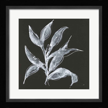 Framed Branch III Print