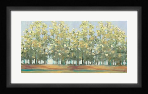 Framed Aspen Grove III Print