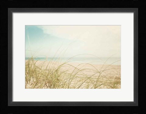 Framed Beach Grass V Light Print